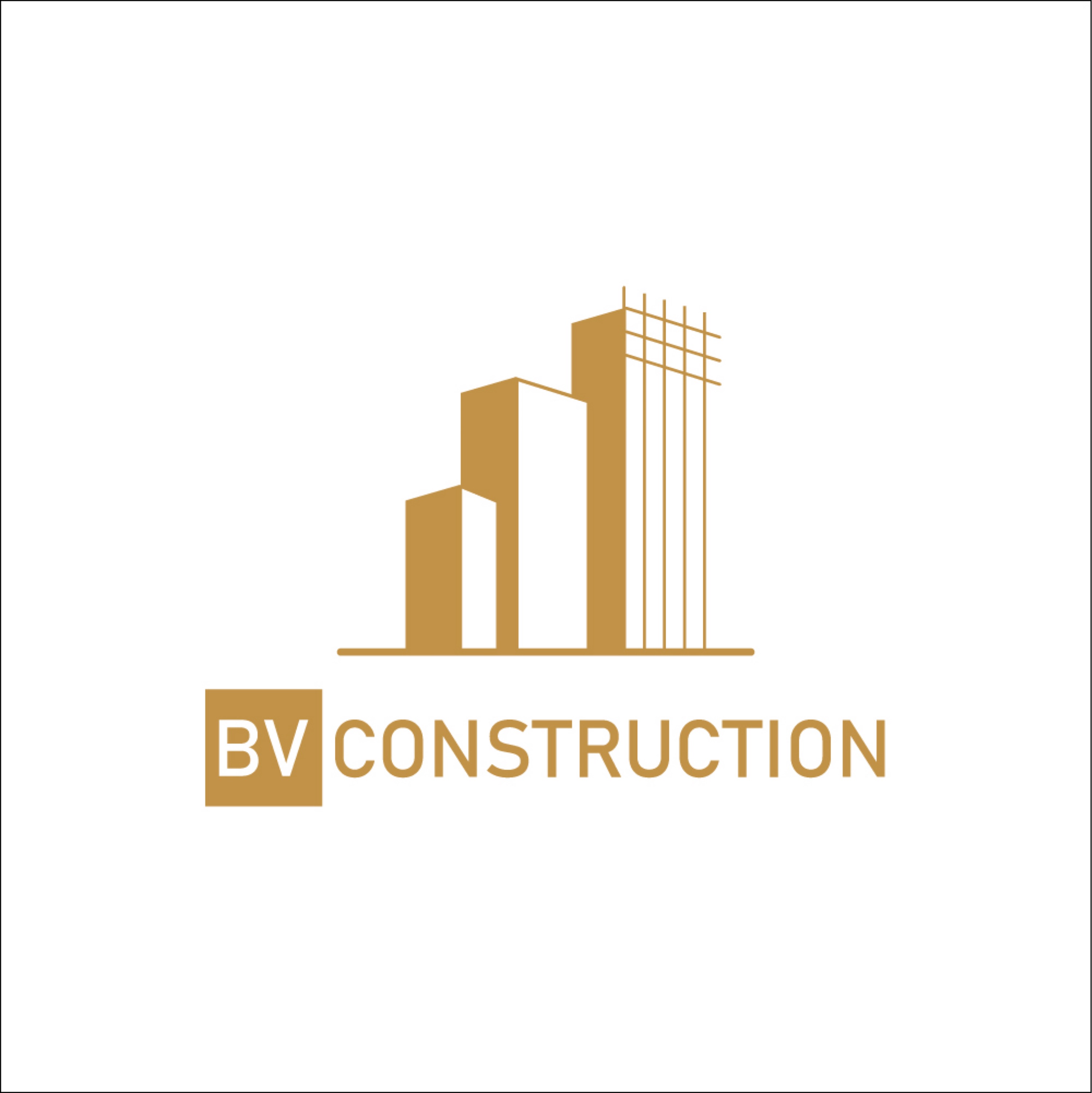 BV COMPANY Logo