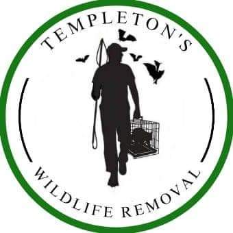 Templeton's Wildlife Removal Logo