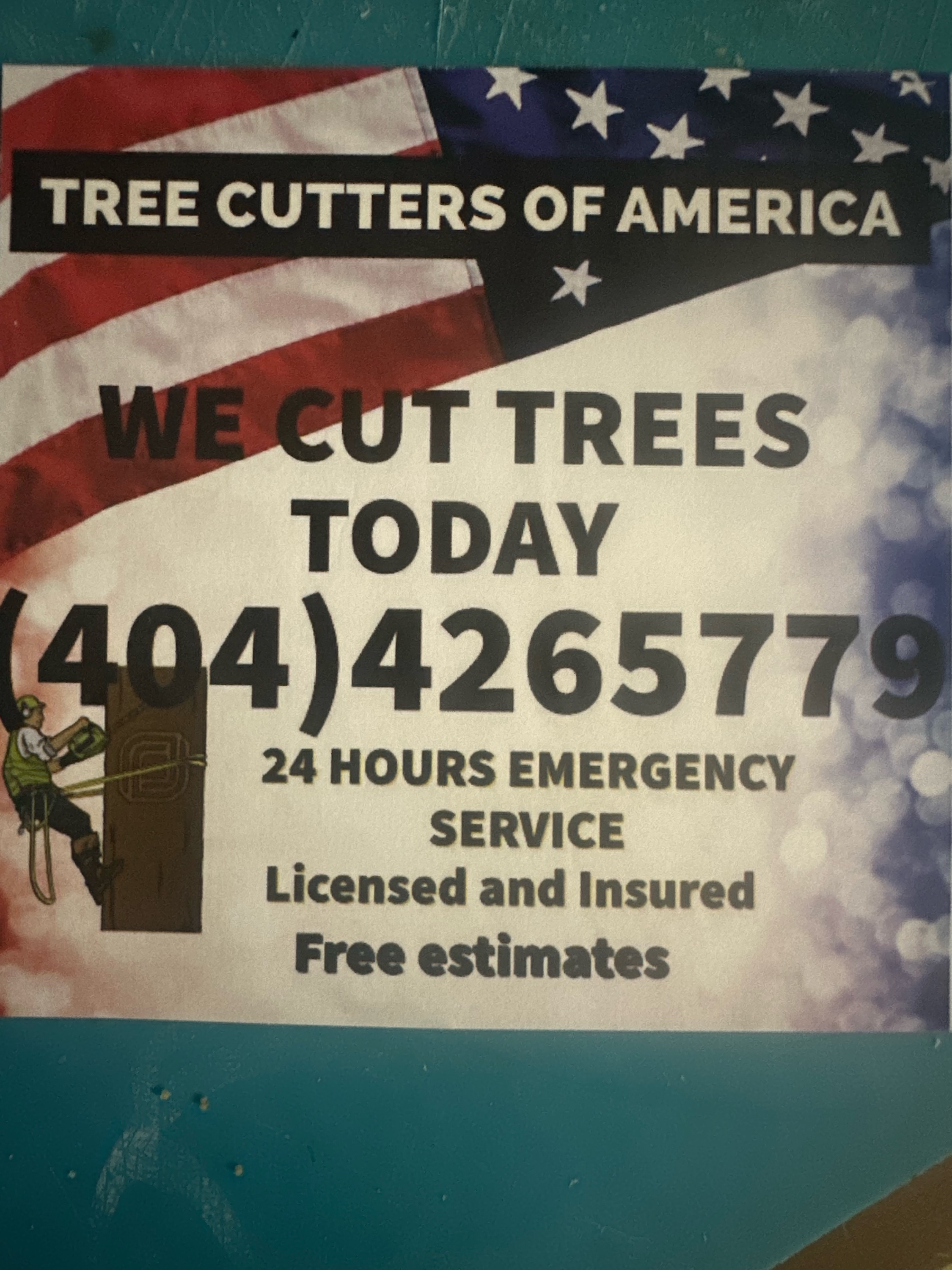 The Tree cutters of America Logo