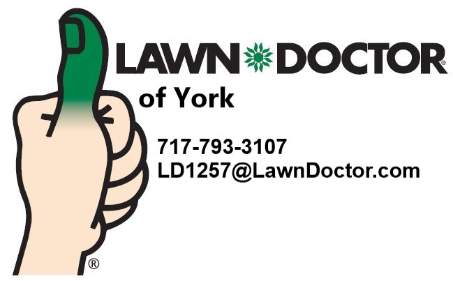 Lawn Doctor of York Logo
