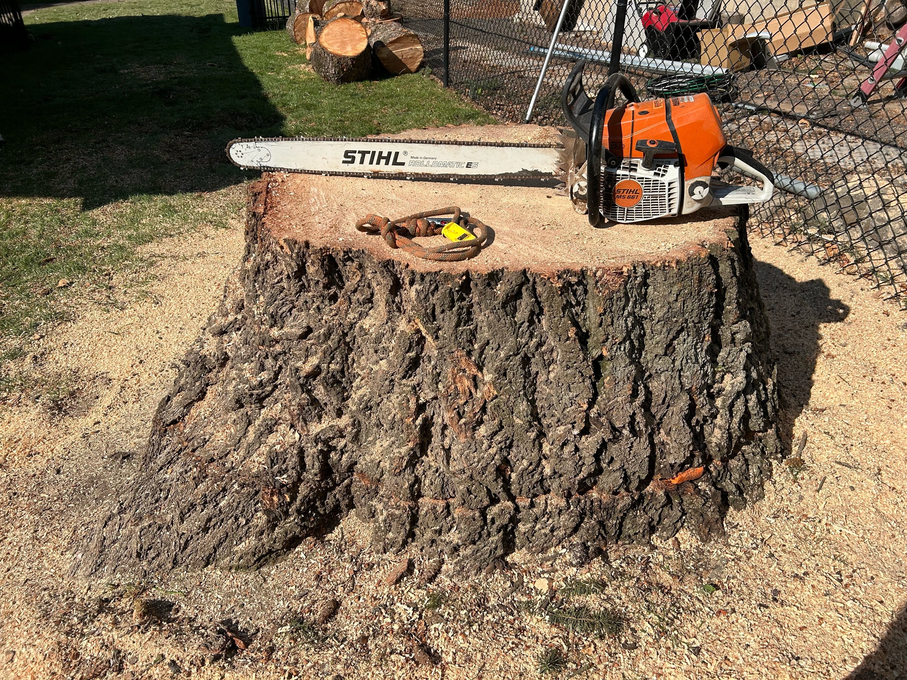 Timber Gardens Tree Service Logo