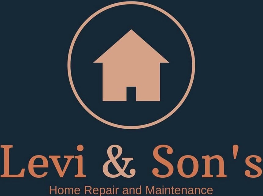 Levi and Sons Logo