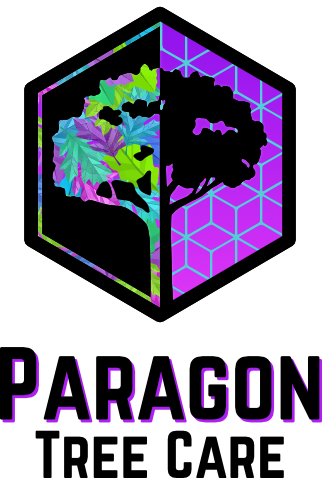 Paragon Tree Care Logo