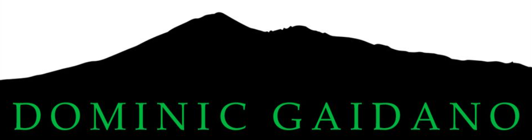 Dominic Gaidano Painting & Decorating Logo