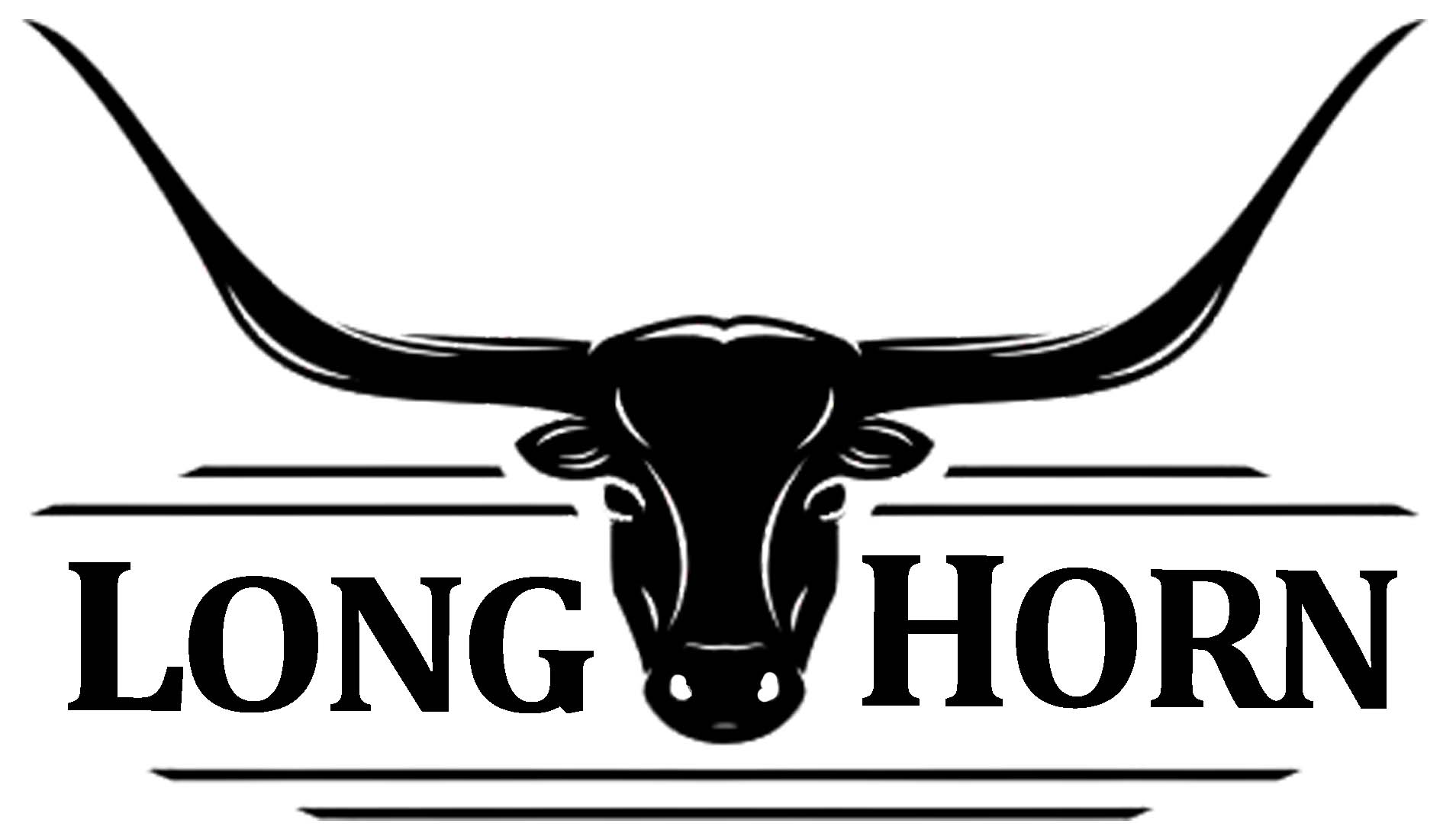 Longhorn Remodeling llc Logo