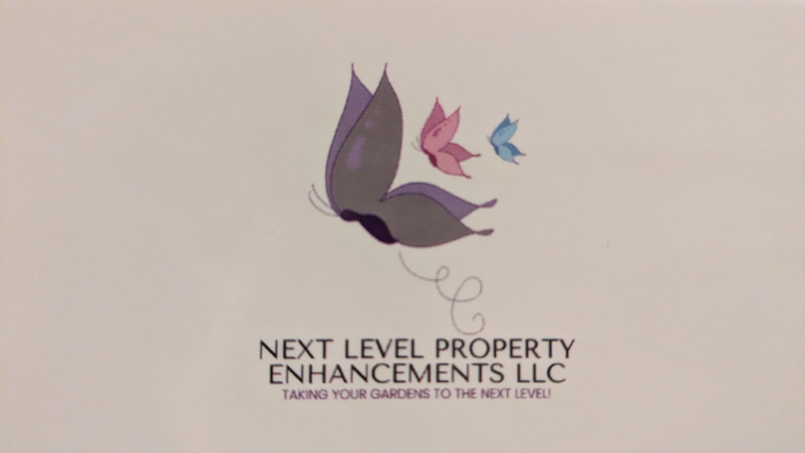 Next Level Property Enhancements Logo