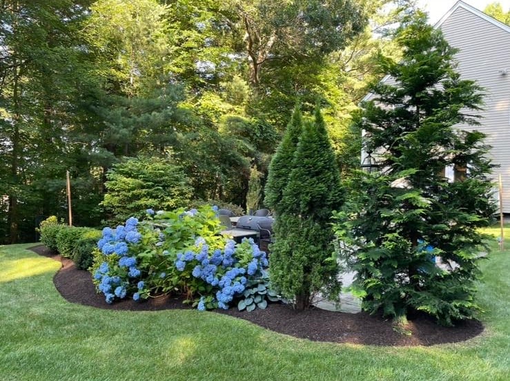 Velasquez Landscape, Inc. Logo