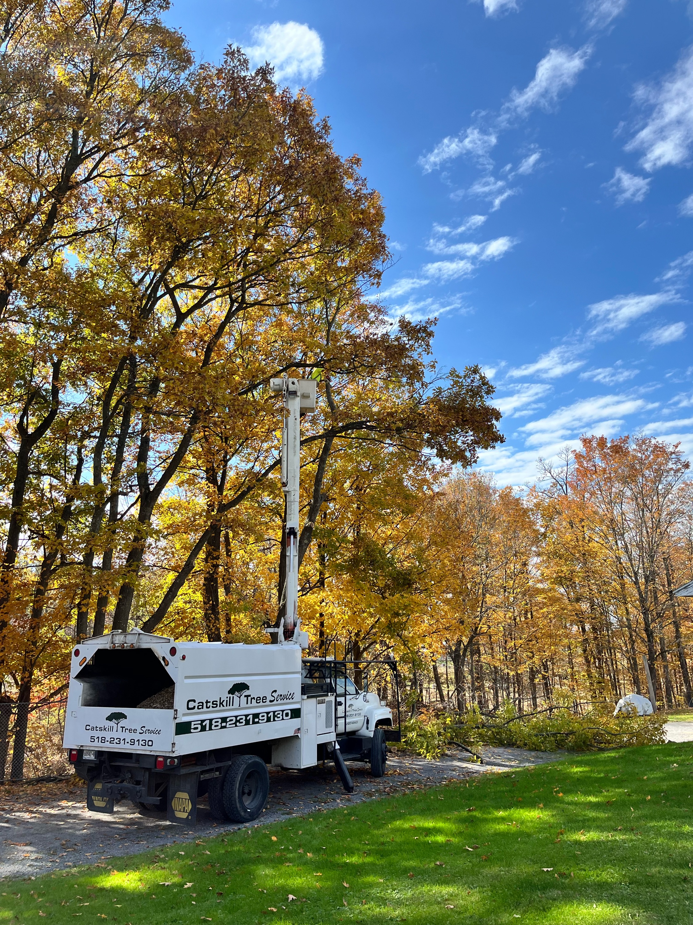 Catskill Tree Service, LLC Logo