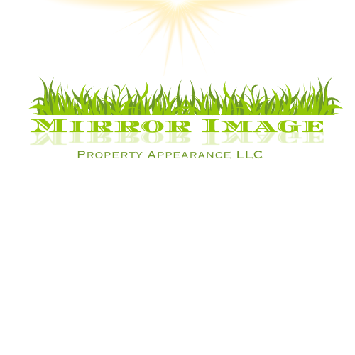 Mirror Image Property Appearance LLC Logo