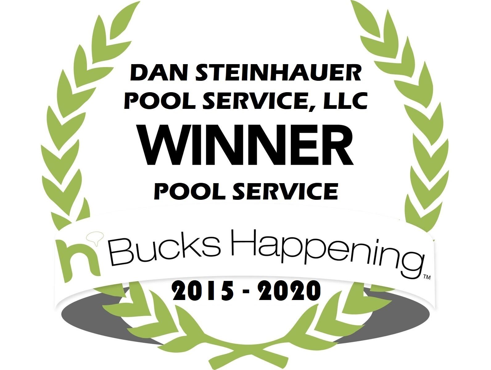 Dan Steinhauer Pool Service, LLC Logo