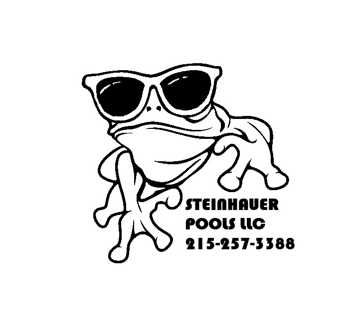 Dan Steinhauer Pool Service, LLC Logo