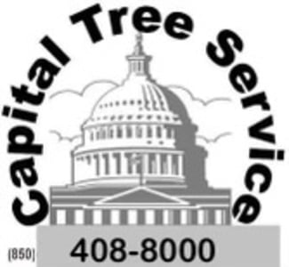 Capital Tree Service Logo