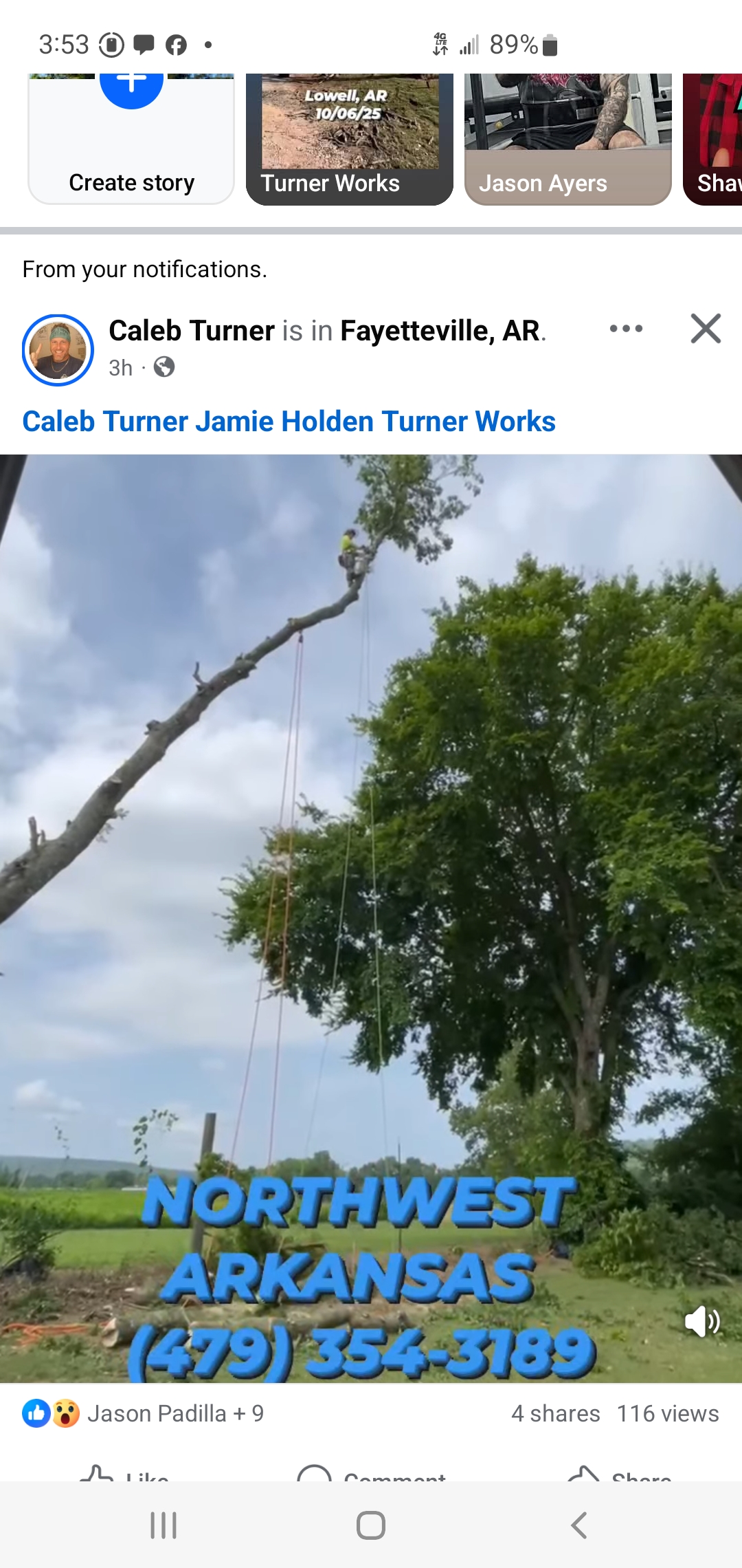 Precision Tree Care LLC Logo