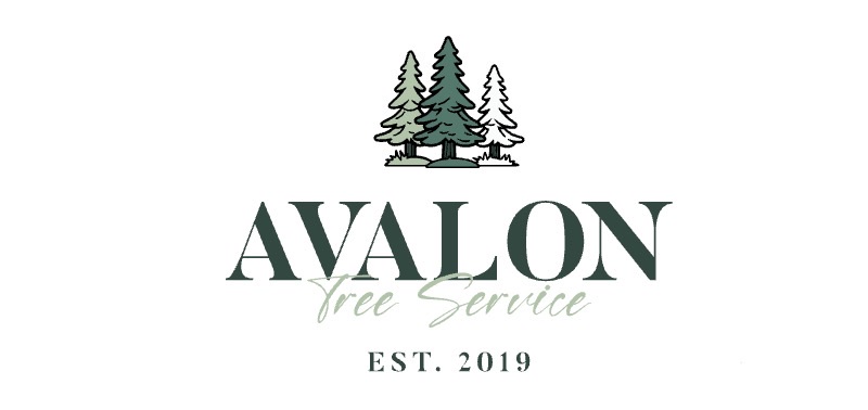 Apex Tree Care Logo
