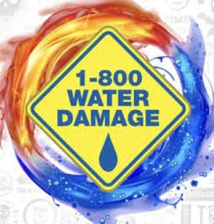 1-800 Water Damage of Mid-Michigan Logo