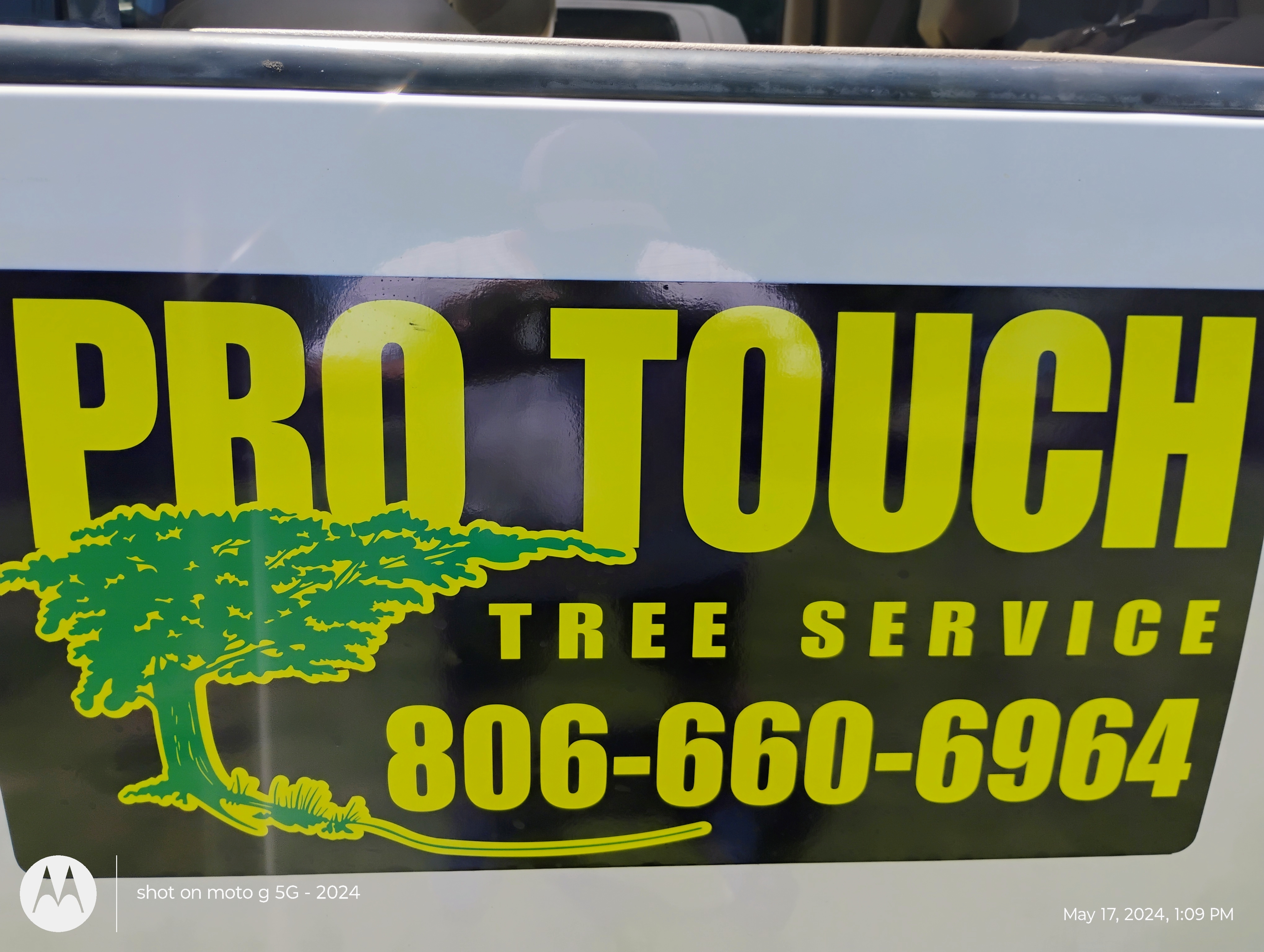 Pro Touch  Tree Service Logo