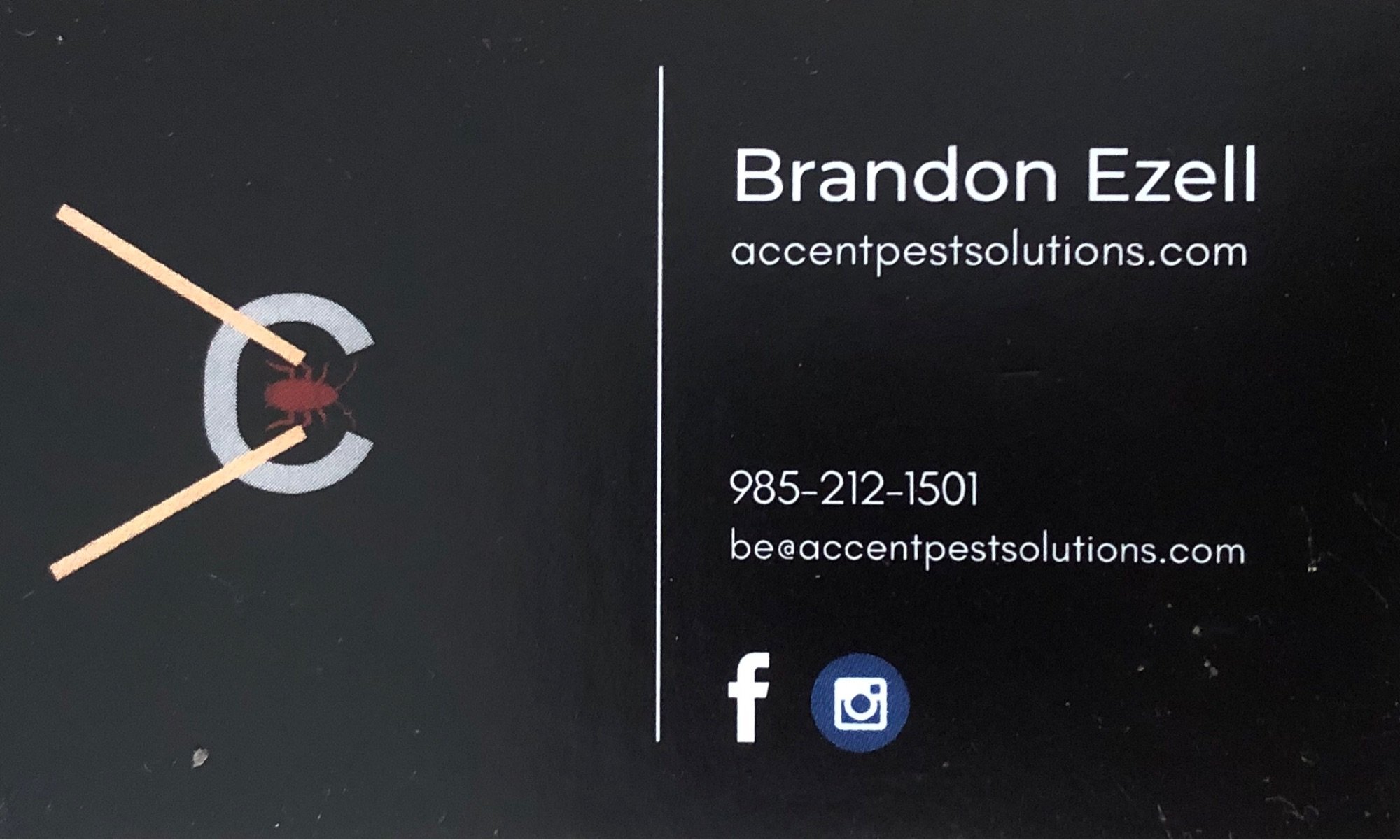 Accent Pest Solutions Logo