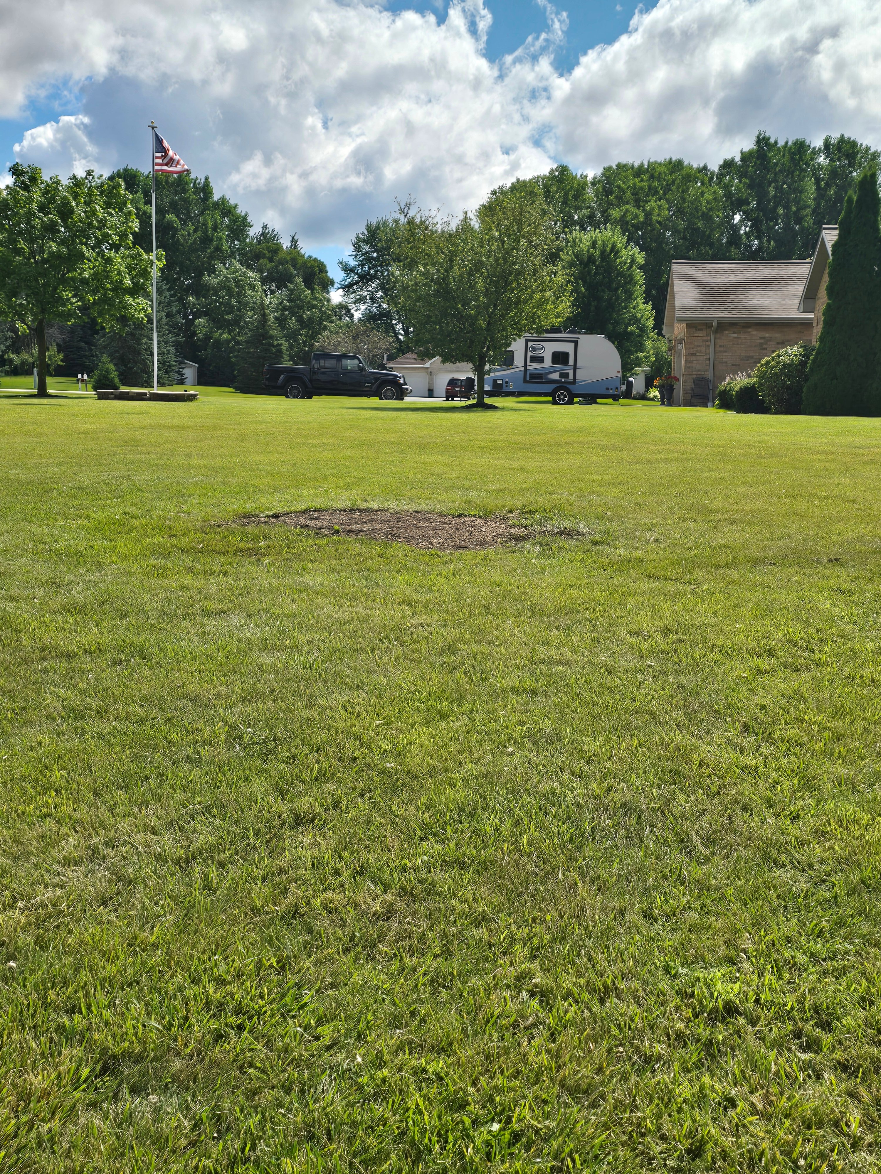 Packerland Stump Removal LLC Logo