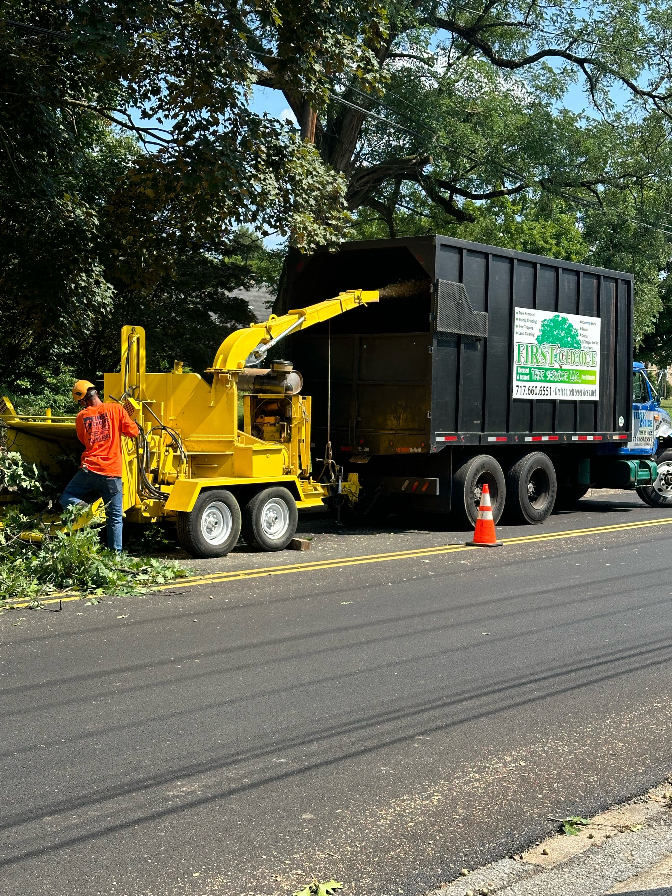 First Choice Tree Service LLC Logo