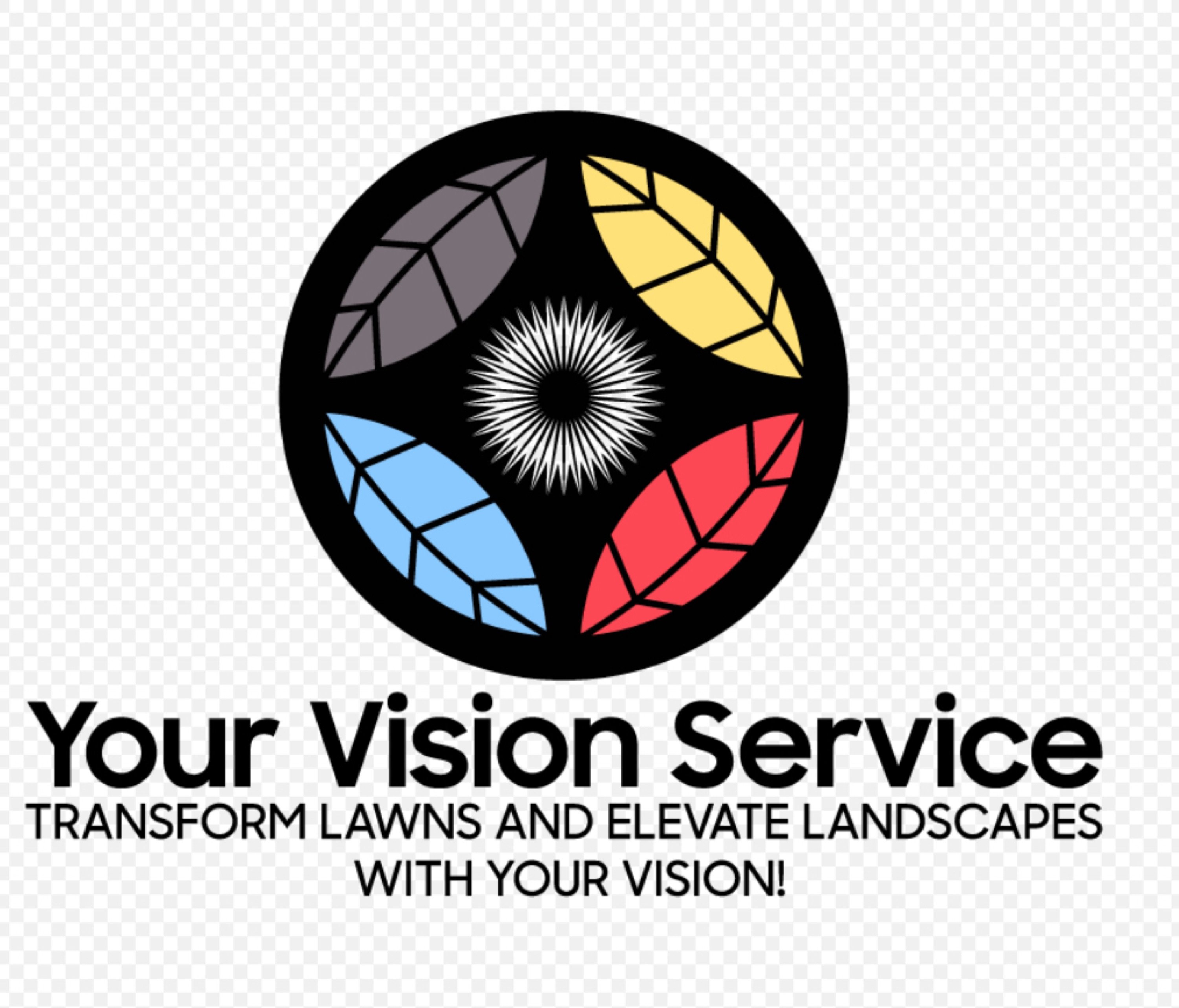 Your Vision Service Logo