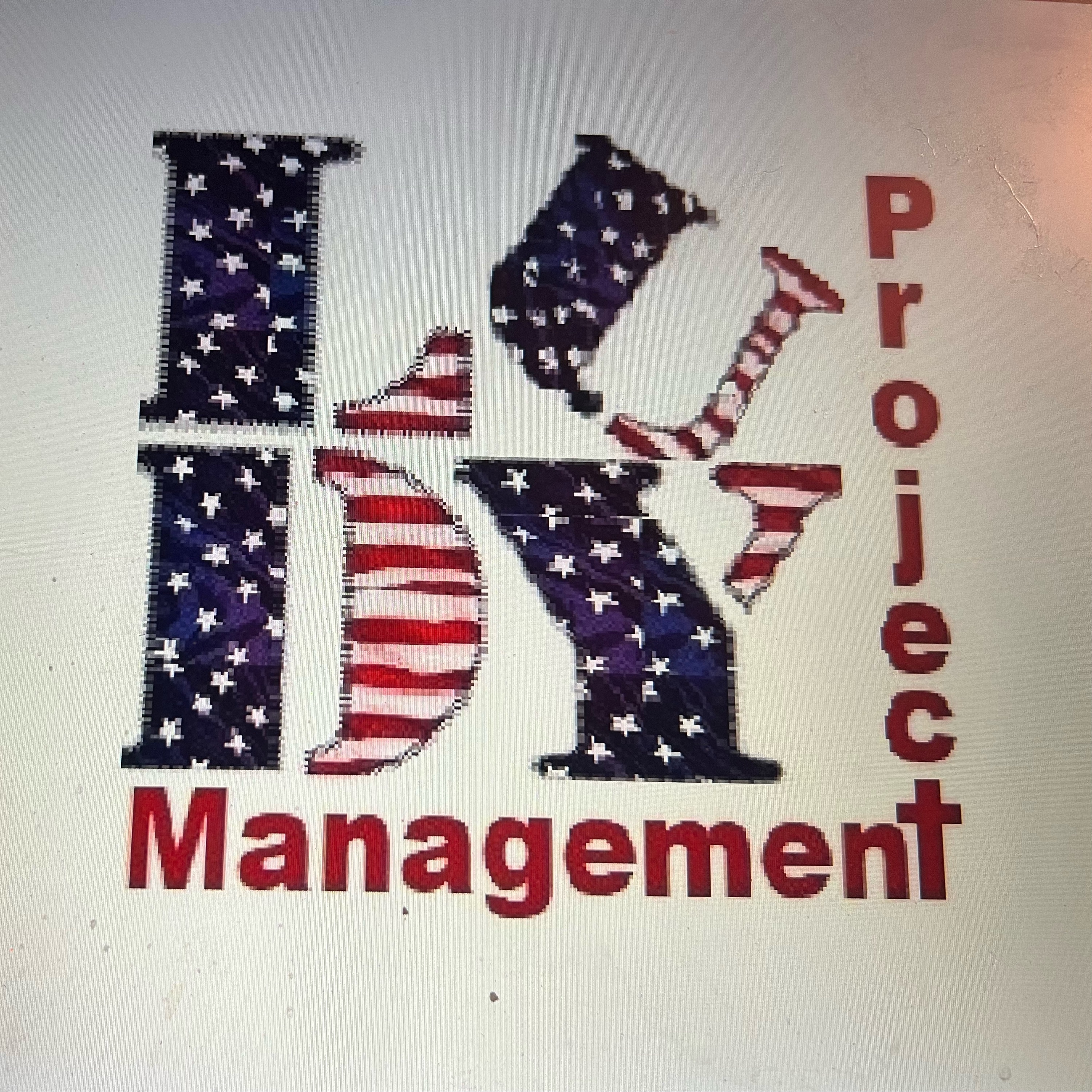 Ludy Project Management LLC Logo
