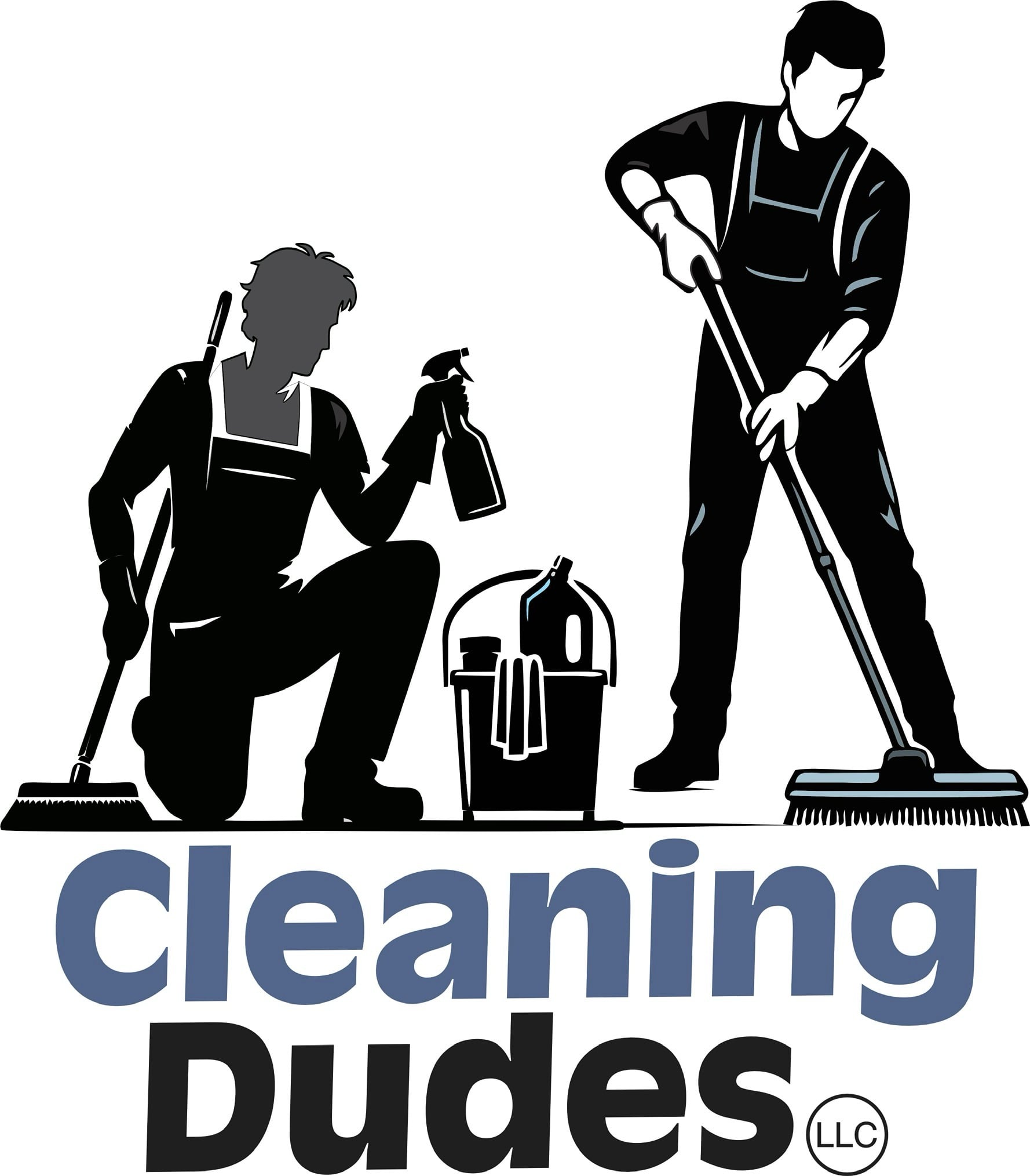 Cleaning dudes llc Logo