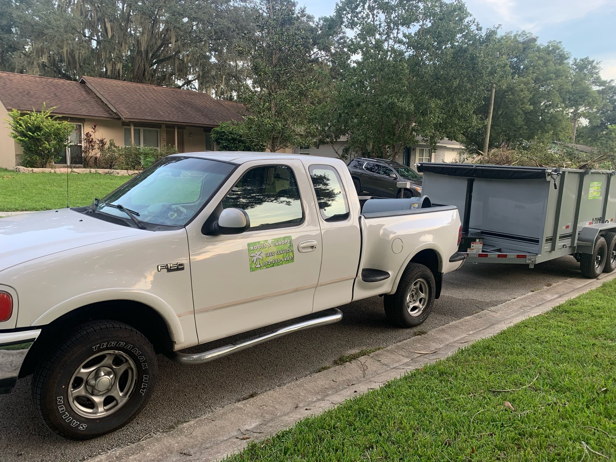 Roots & Canopy Tree Service, LLC Logo