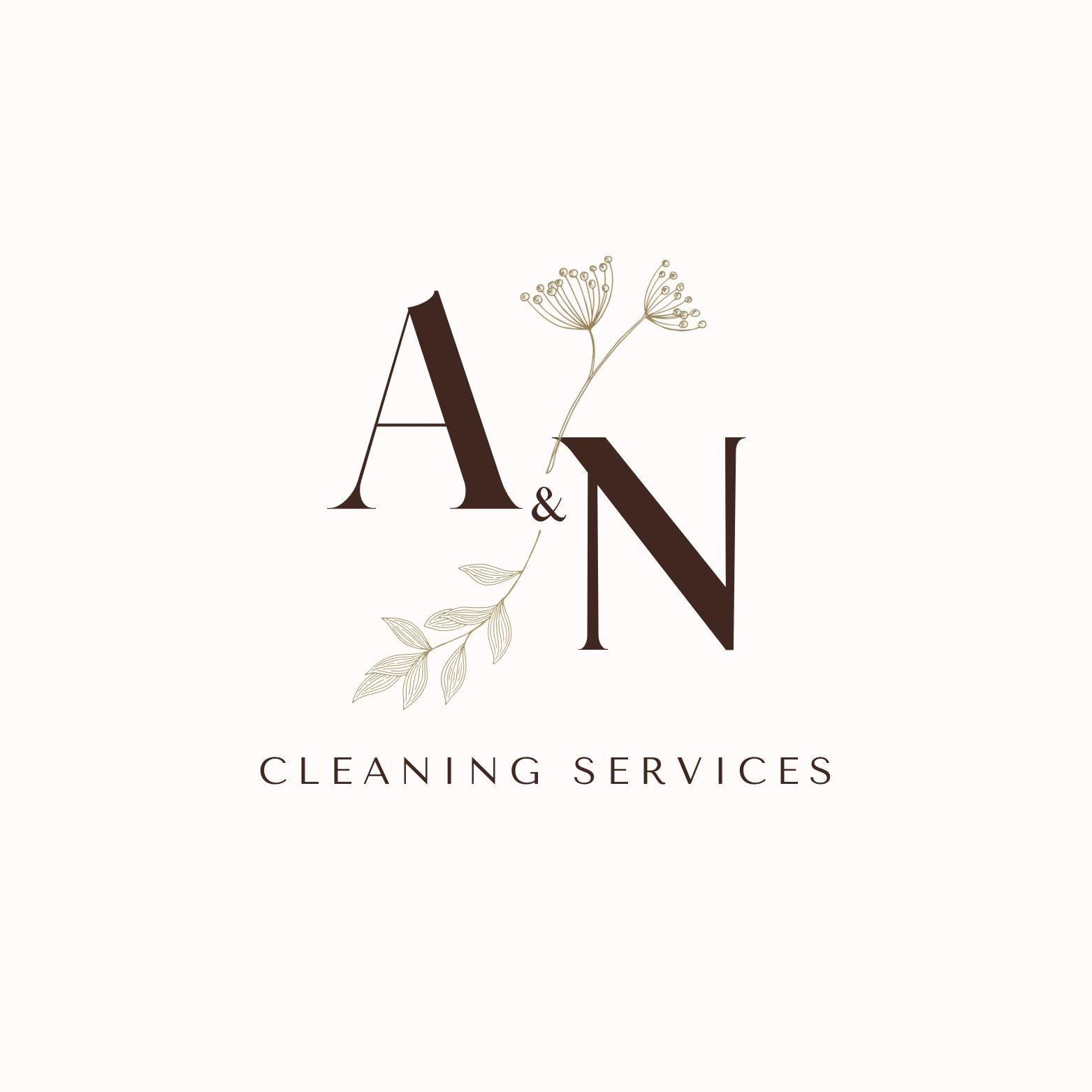 A&N Cleaning Services Logo