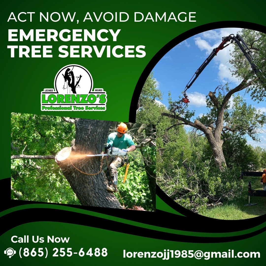 Lorenzo Professional Tree Service Logo