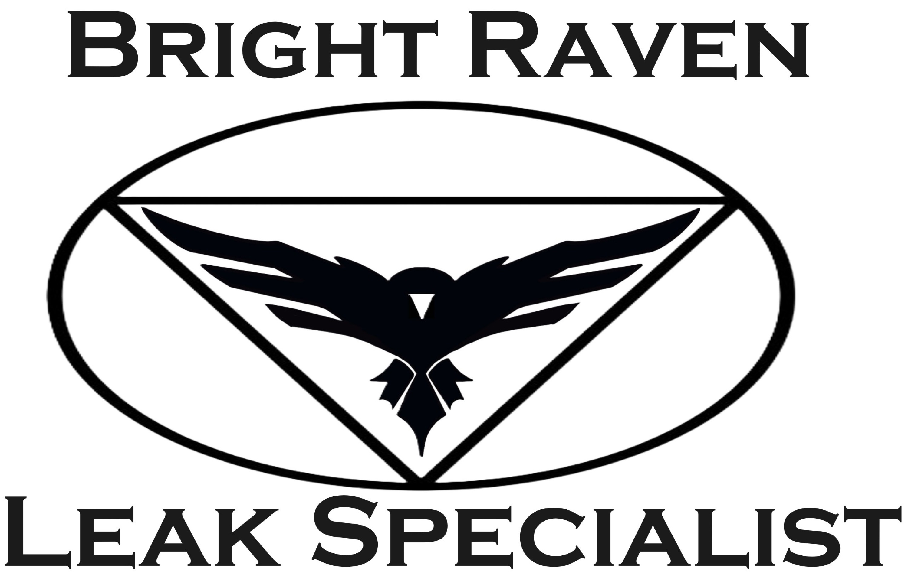 Brightraven Leak Specialists, LLC Logo