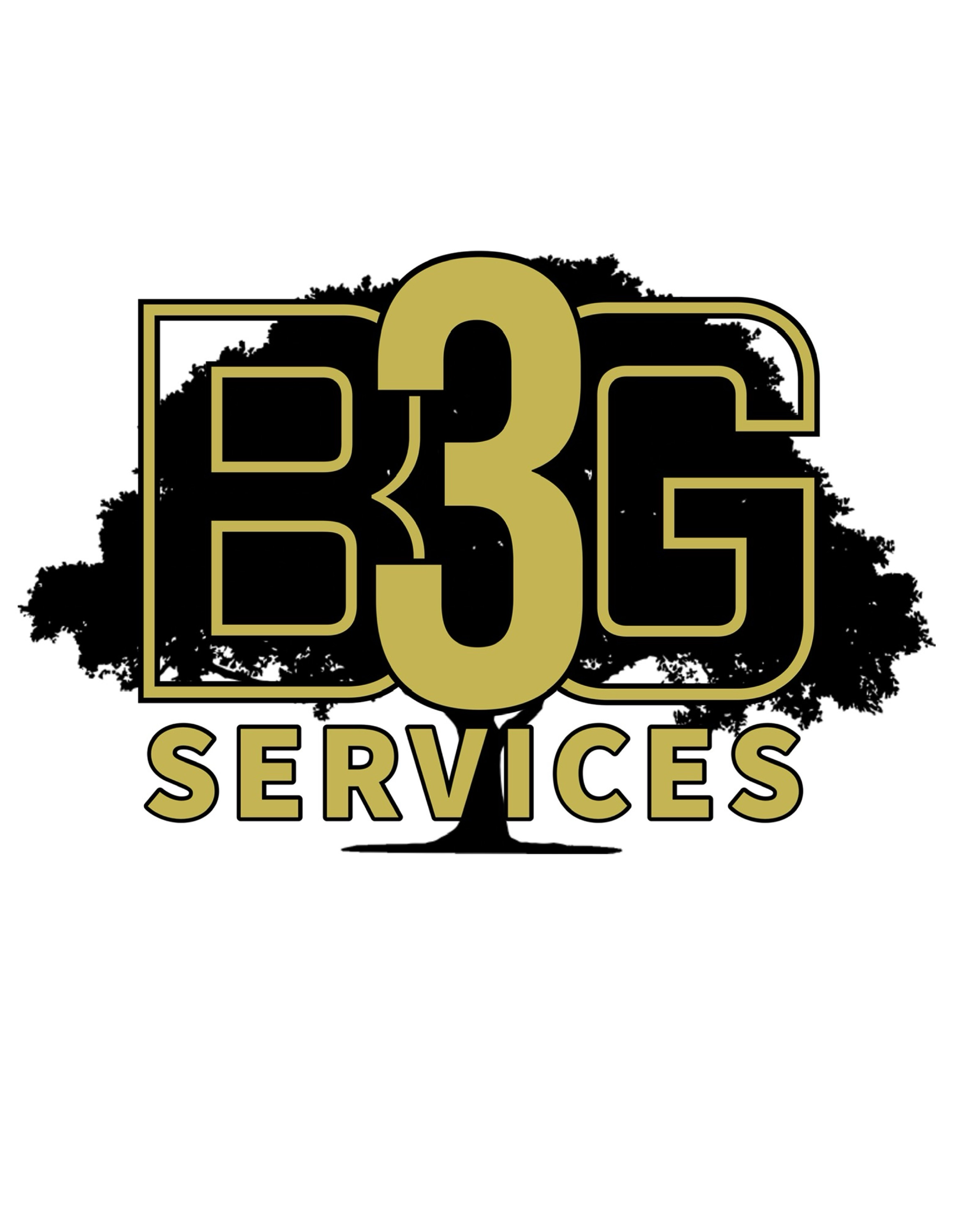 B3G Services Logo