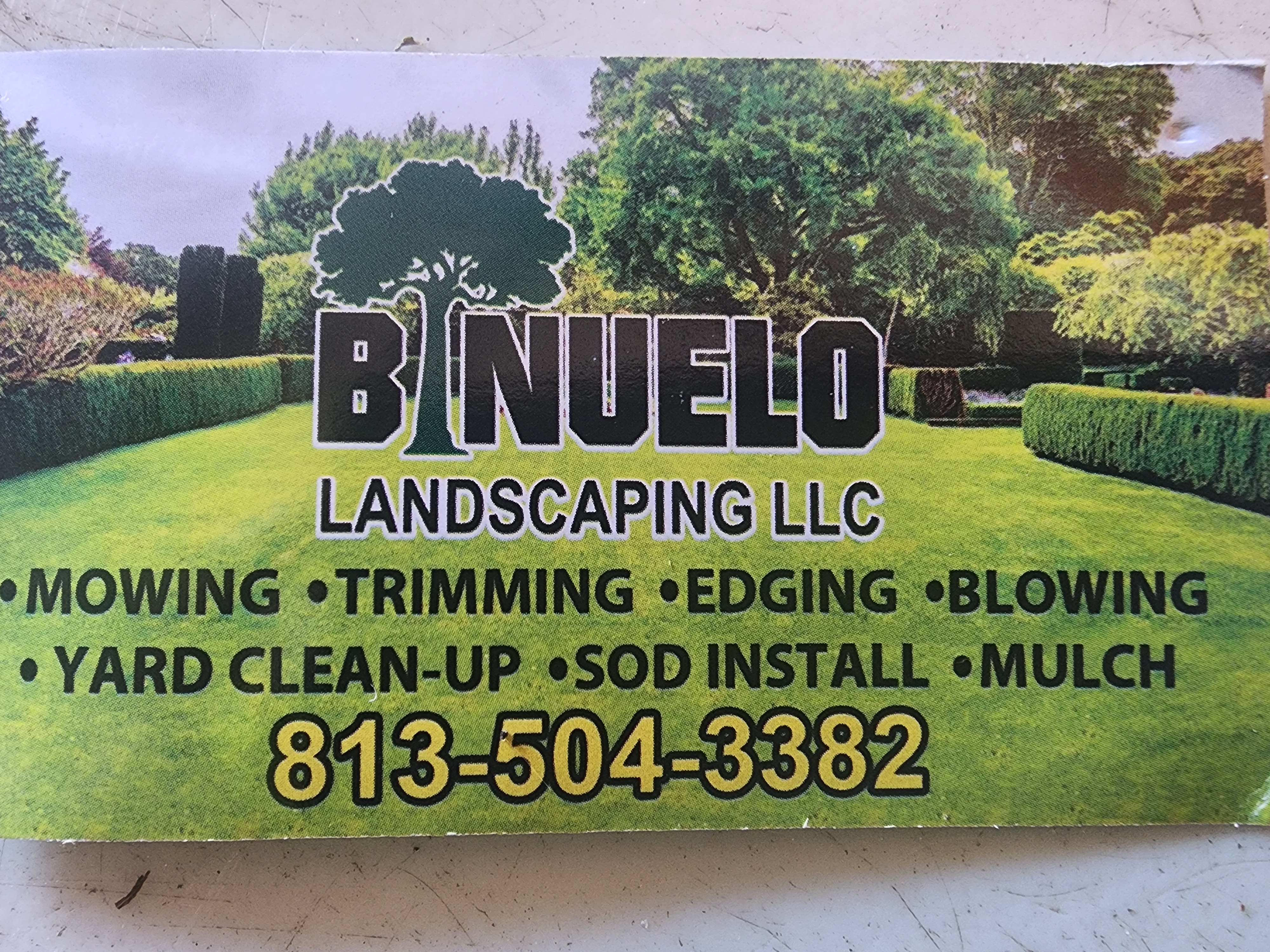 BINUELO LANDSCAPING LLC Logo