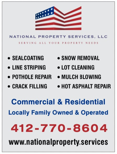 National Property Services Logo