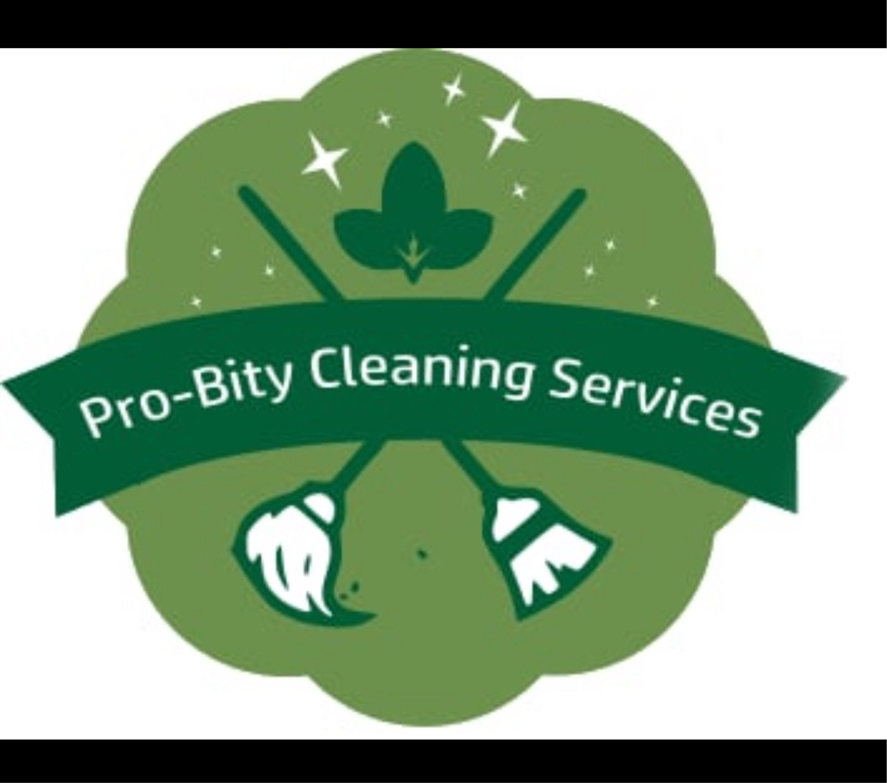 Pro-Bity Cleaning Services LLC Logo