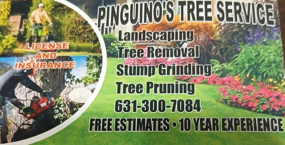 Pinguinos Tree Service Logo