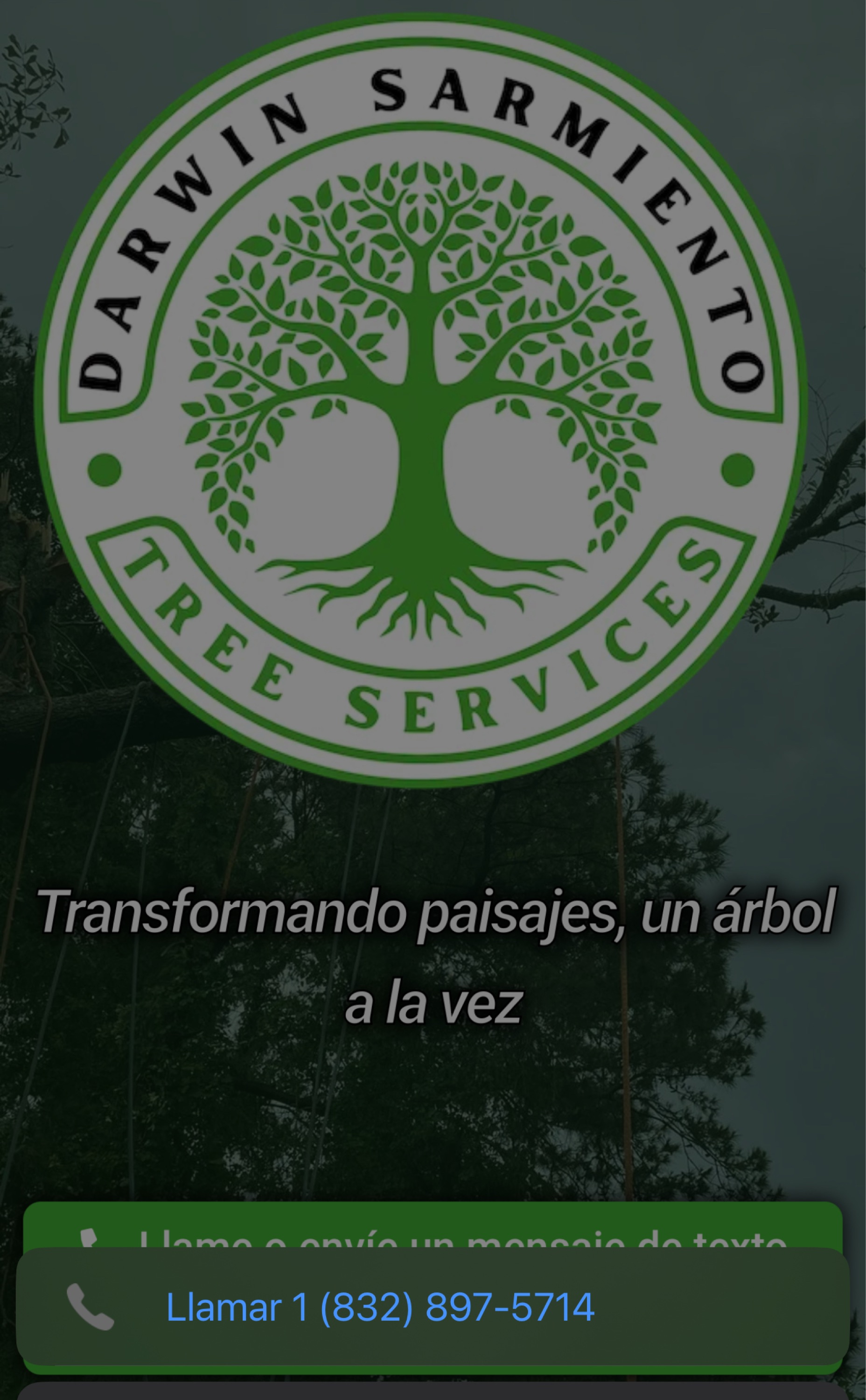 Darwin Tree Service Logo