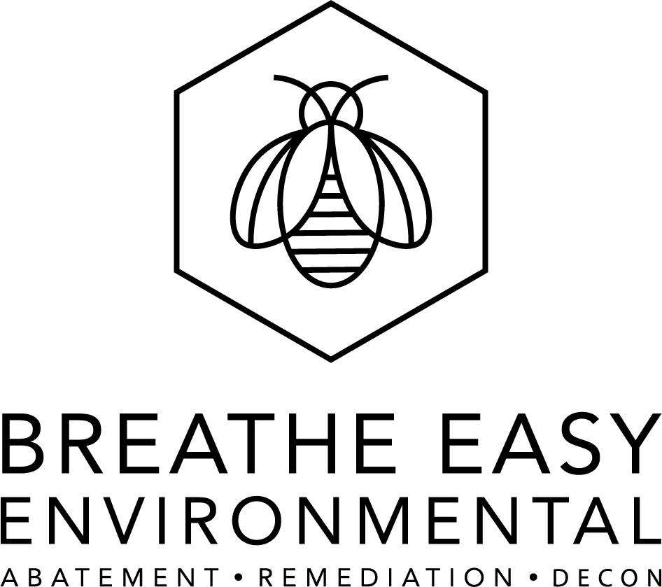 Breathe Easy Environmental LLC Logo