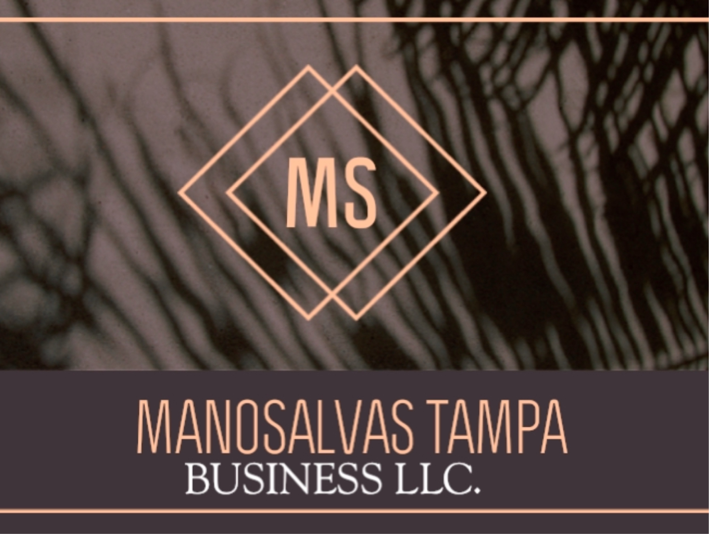 Manosalvas Tampa  Business LLC Logo