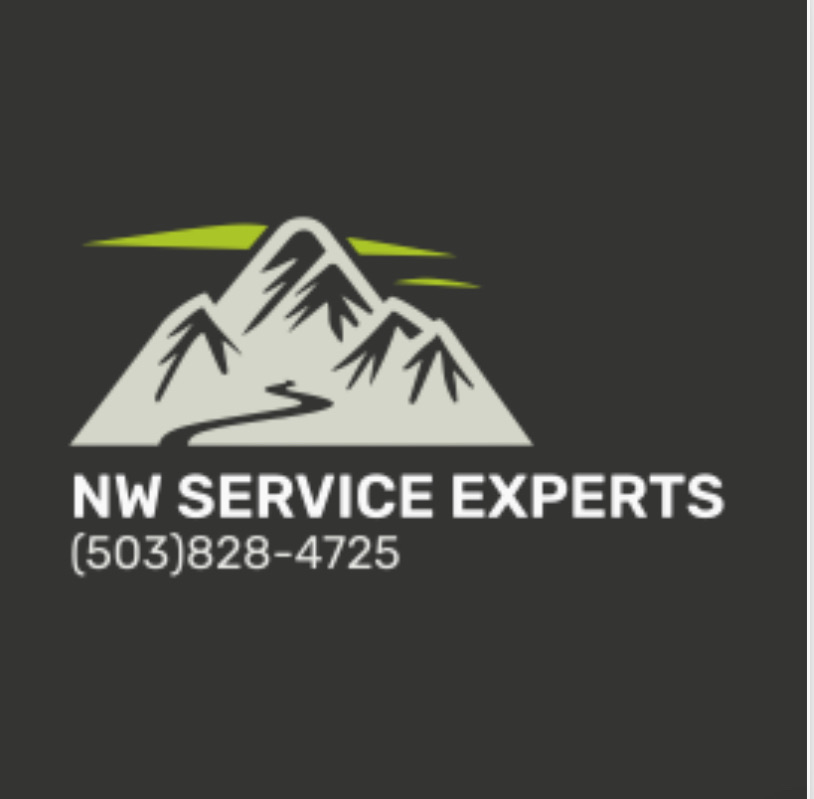 Nw Service Experts Logo