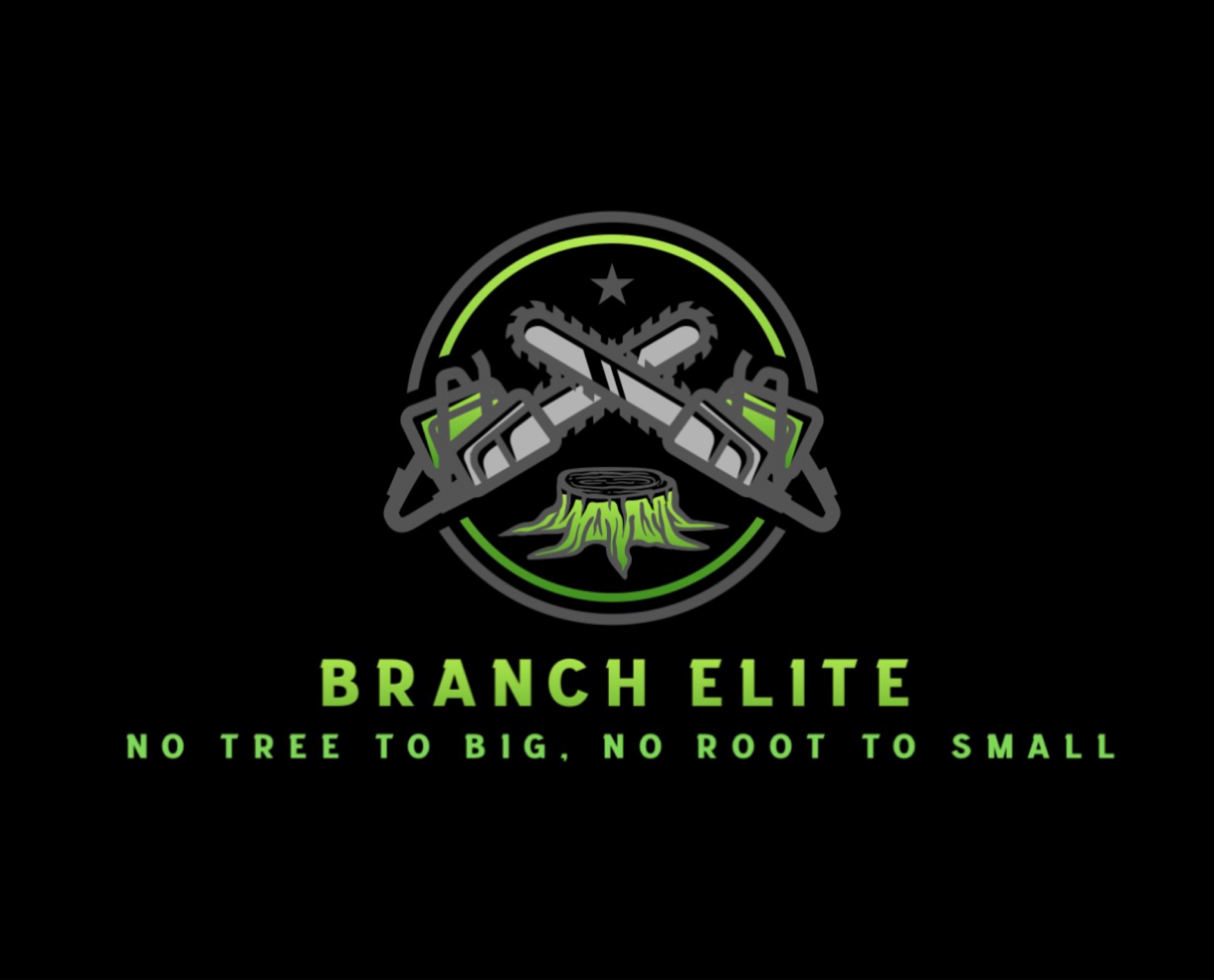 Branch Elite LLC Logo