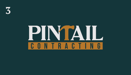 PINTAIL CONTRACTING LLC Logo