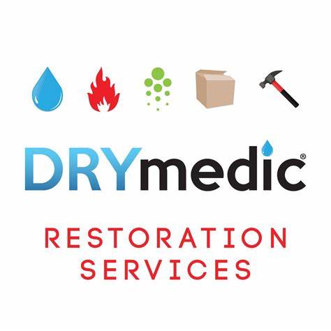 DRYmedic Restoration Services of Trussville Logo