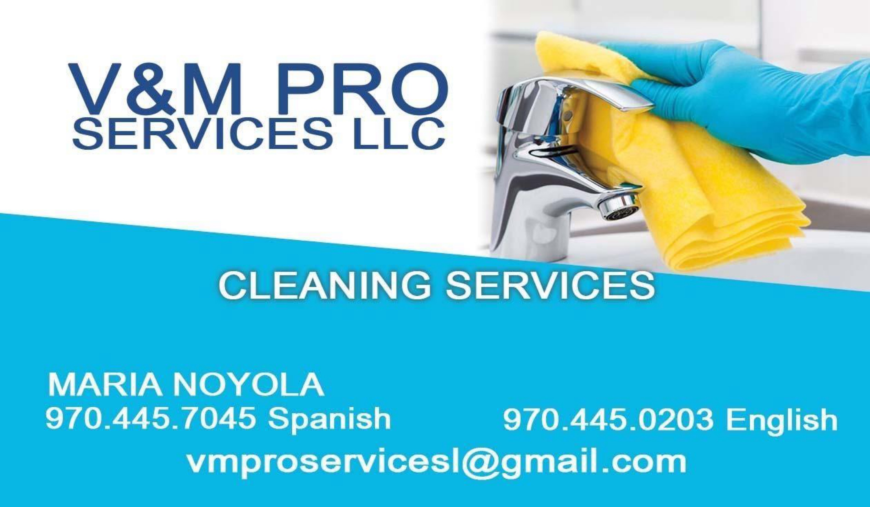 V&M Pro Services Logo