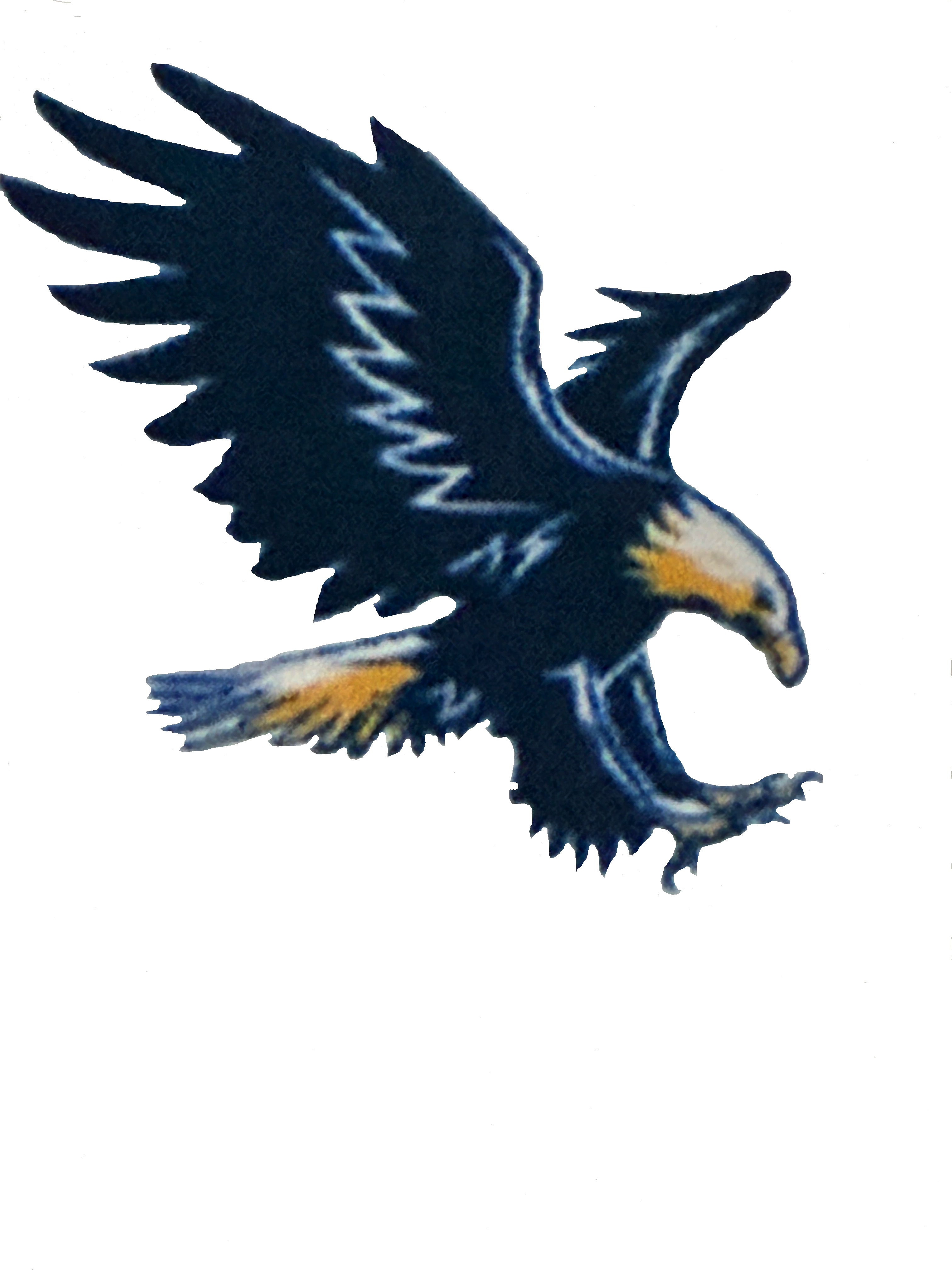 Tochen Hauling Services Logo