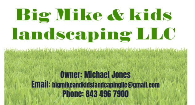 Big Mike and Kids Landscaping LLC Logo