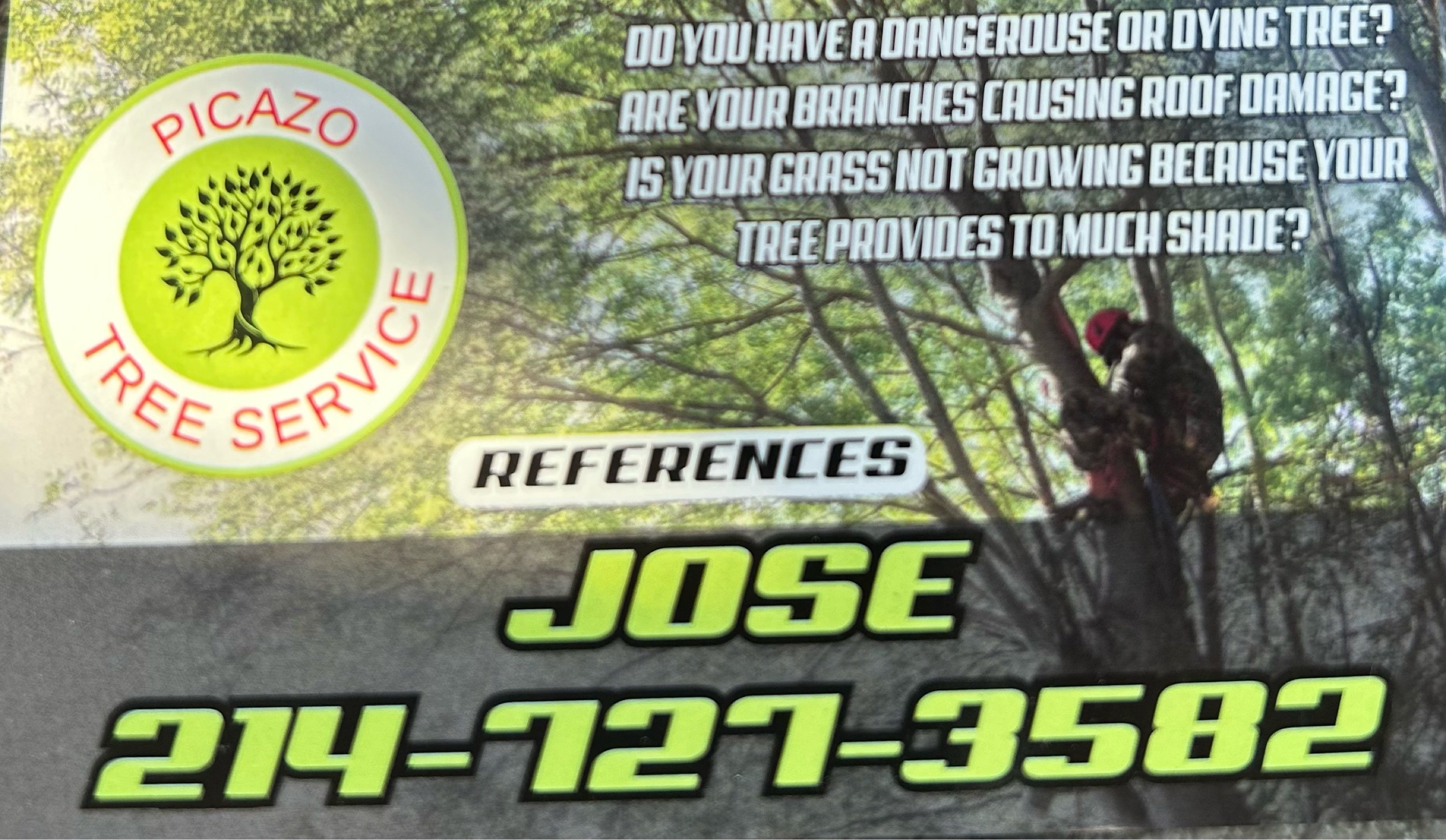 Picazo Tree Service Logo