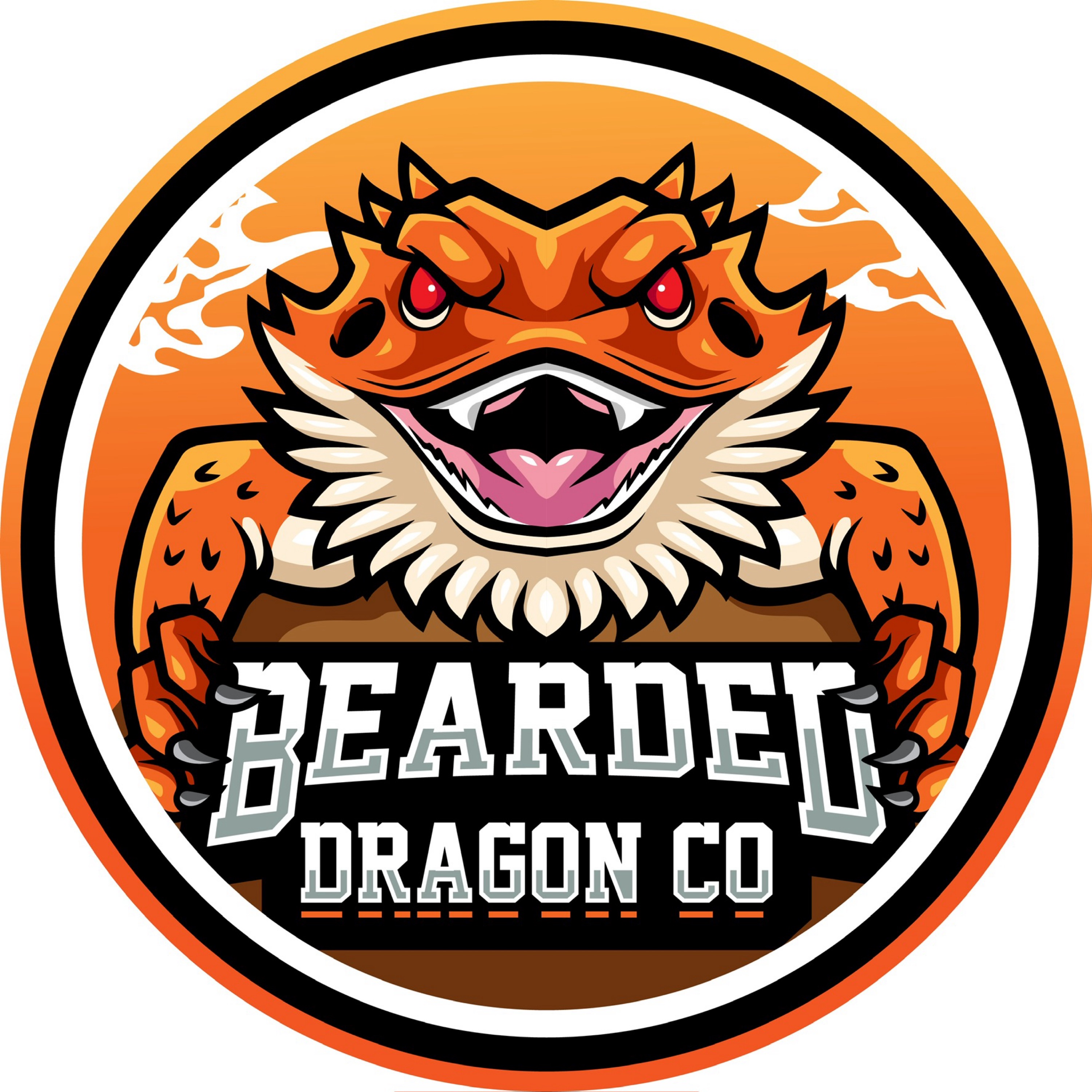 BEARDED DRAGON CONSTRUCTION Logo