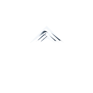 Pinnacle Projects LLC Logo