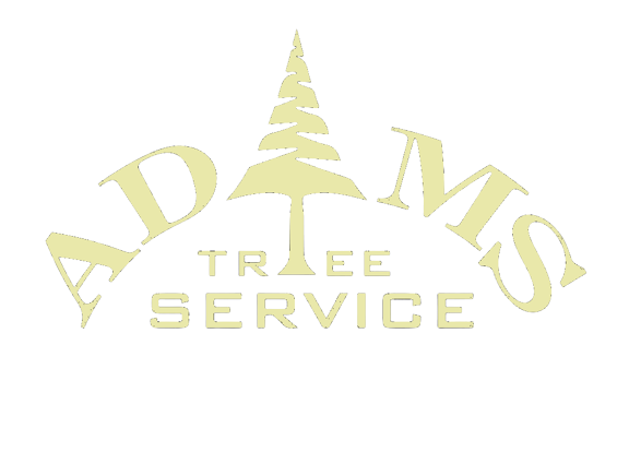 Adam's Tree Service Logo