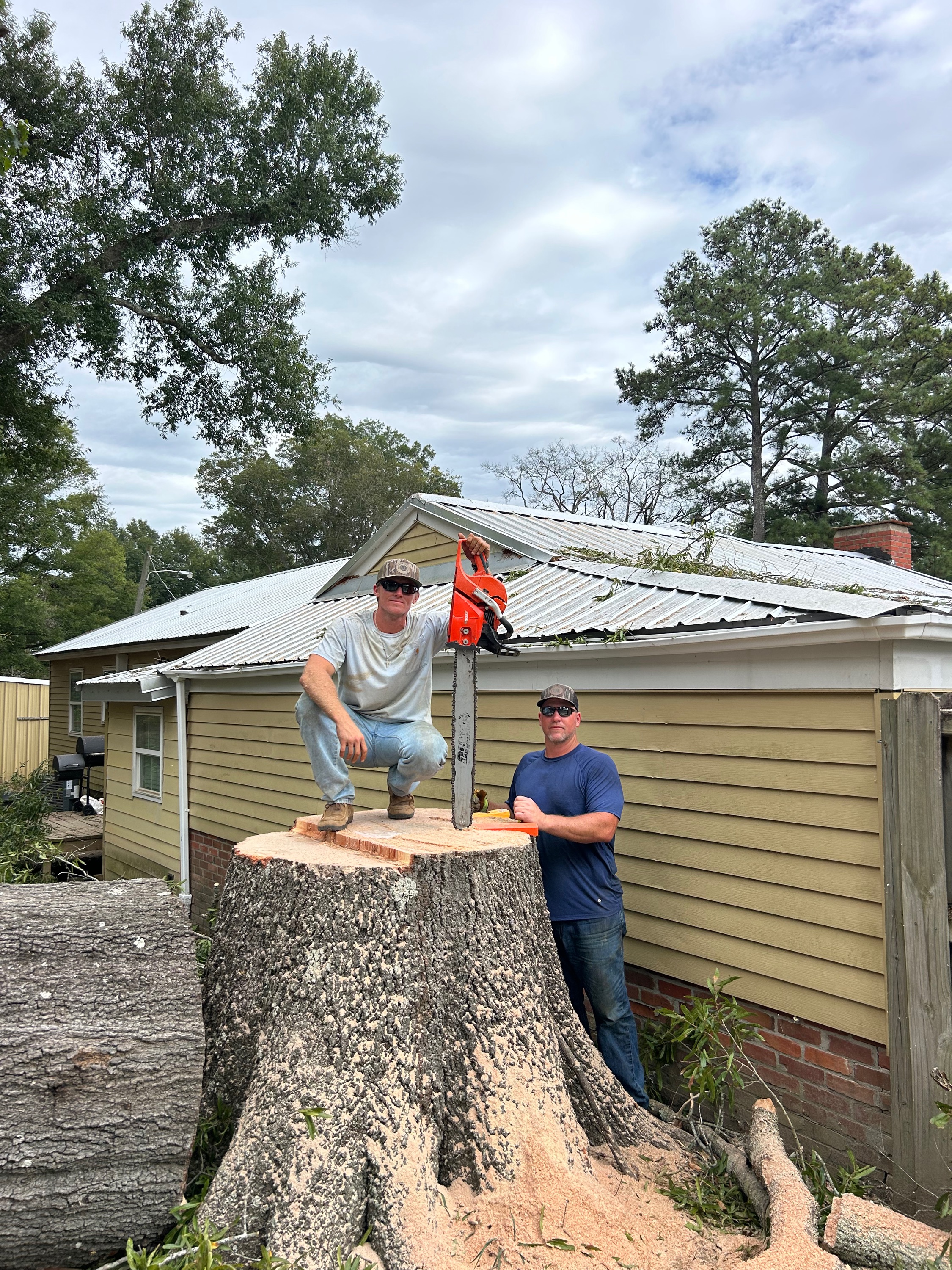 Whitworth Tree Services Logo